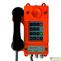 Телефонный аппарат ТАШ-21П-IP-С (всепогодный)