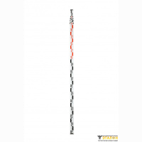 TS-7