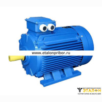 Электродвигатель АИР 63 B4 0.37кВт 1500об/мин 1081 (лапы)