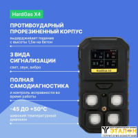 HardGas X4 (CH4, O2, CO, NO2) Газоанализатор портативный многоканальный